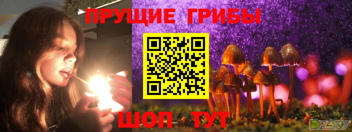 Псилоцибиновые грибы ЛСД Павловский Посад